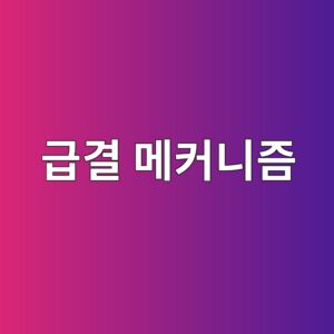 황산알루미네이트 시멘트의 급결 메커니즘과 적용 분야 3 eab889eab2b0 eba994ecbba4eb8b88eca698 1787786403