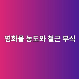 염화물 농도와 철근 부식 개시 시점의 관계 분석 3 ec97bced9994ebacbc eb868deb8f84ec9980 ecb2a0eab7bc ebb680ec8b9d 1787637036