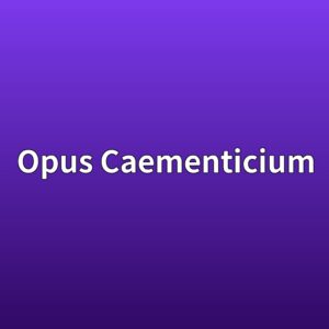 로마 콘크리트(Opus Caementicium)의 초장수명 원리 연구 9 opus caementicium 1789421207