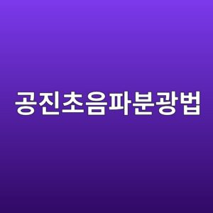 공진초음파분광법(RUS)의 콘크리트 적용 가능성 2 eab3b5eca784ecb488ec9d8ced8c8cebb684eab491ebb295 1789291750