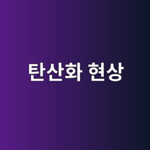 탄산화된 콘크리트의 pH 저하와 철근 부동태 피막 파괴 메커니즘 1 ed8384ec82b0ed9994 ed9884ec8381 1789388172