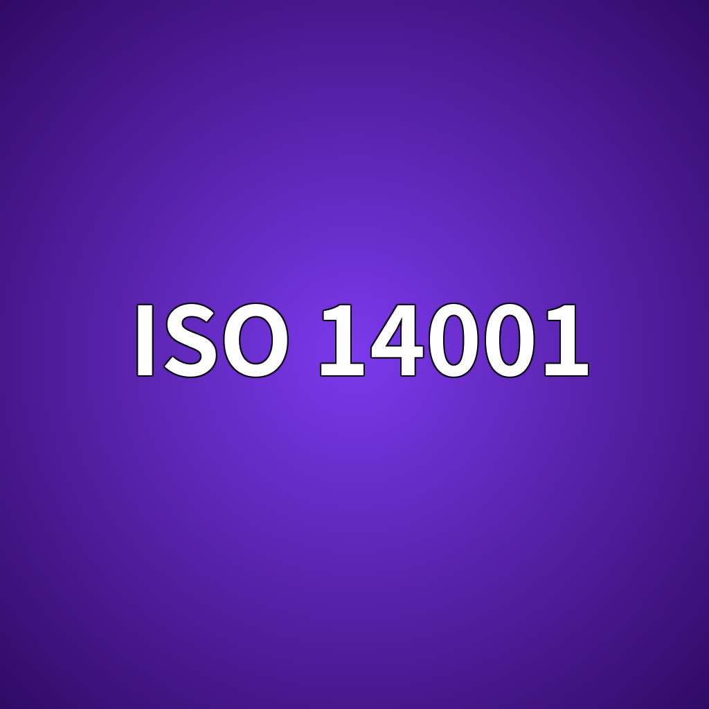 iso 14001 1789519613